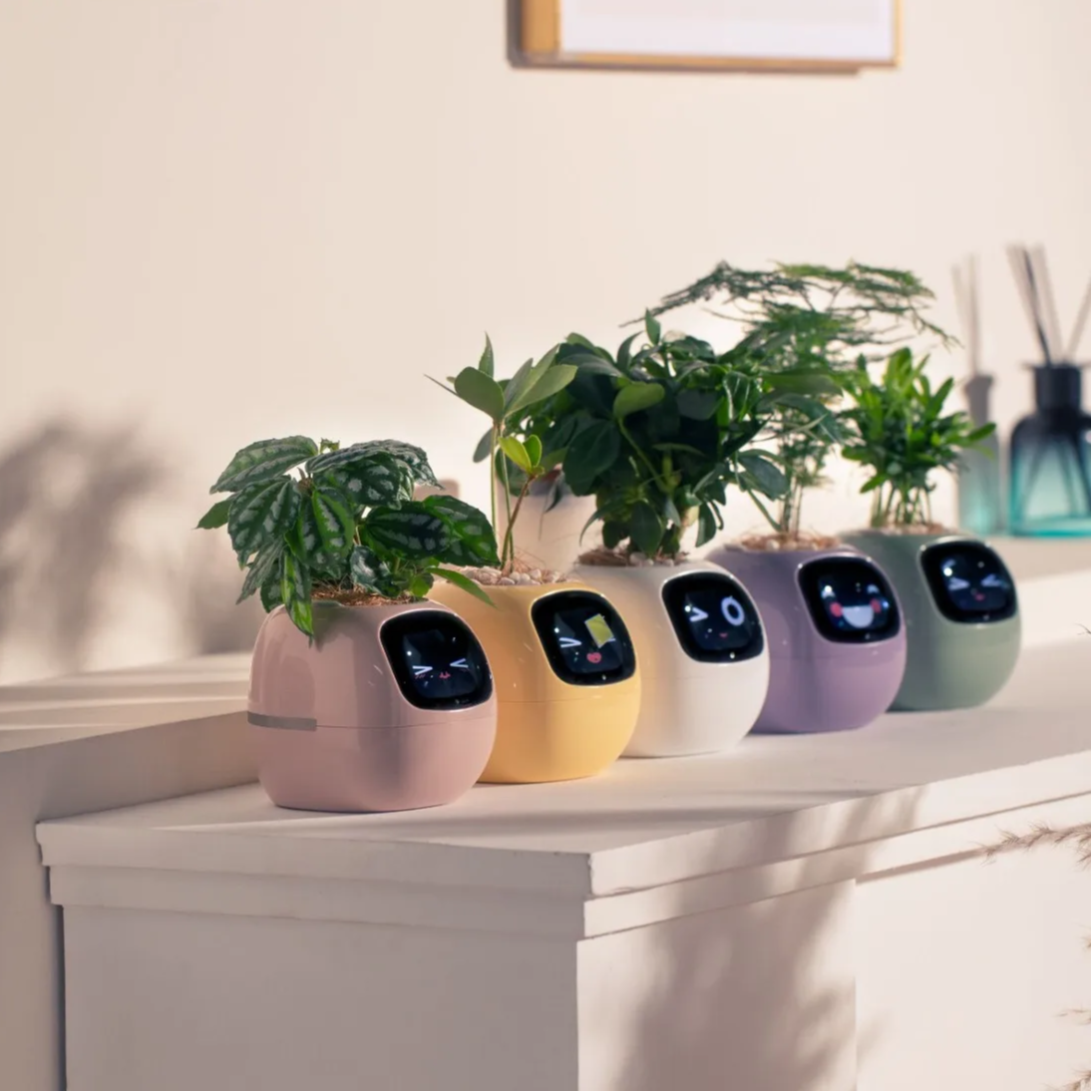 Smart Plant Pot