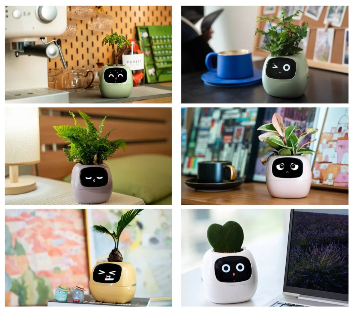 Smart Plant Pot