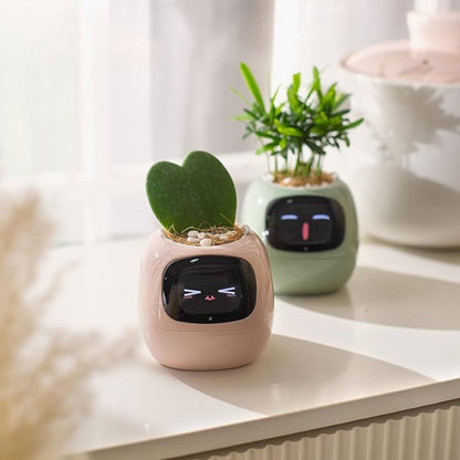 Smart Plant Pot