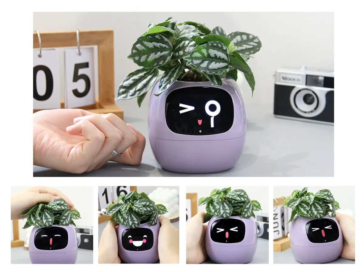 Smart Plant Pot