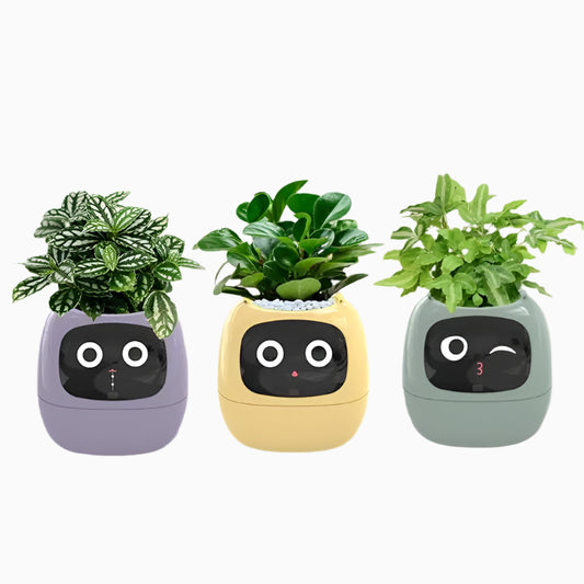 Smart Plant Pot