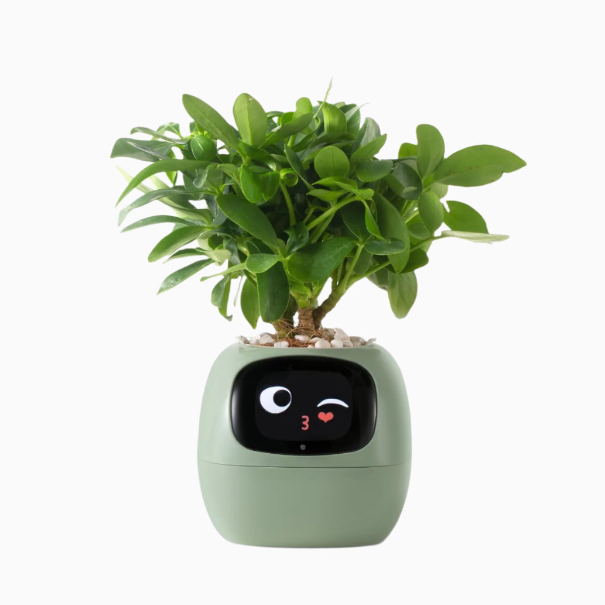 Smart Plant Pot