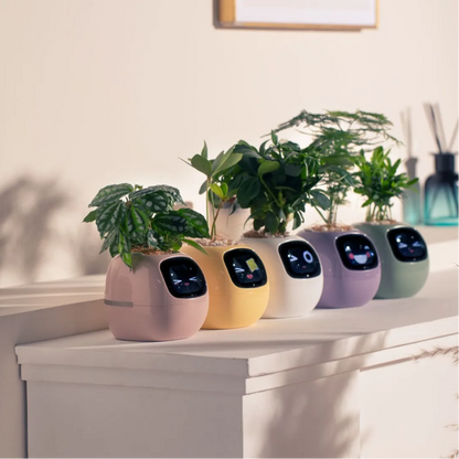 Smart Plant Pot