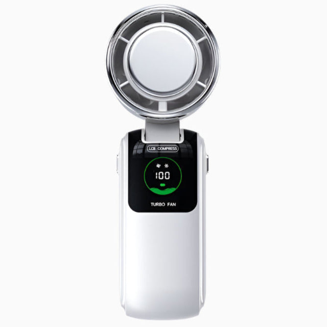 Handheld mini fan